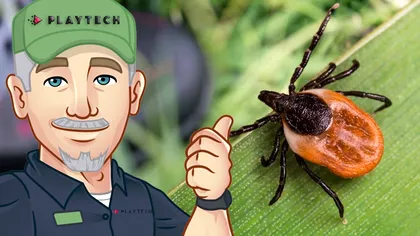 Remediile geniale pentru a scăpa de căpușe. Când apar și cum le poți evita