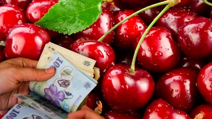 Cum îți dai seama dacă cireșele din piață au viermi fără să le tai. Vei face asta mereu, trucul e simplu