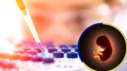 Revoluție în lumea medicală! Oamenii de știință au creat embrioni umani sintetici care elimină necesitatea ovulelor sau spermatozoizilor. Cum a fost posibil un asemenea progres