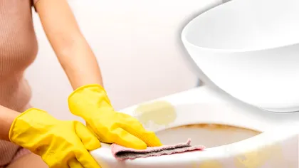 Amestecul banal care face minuni pentru vasul de toaletă. Ce efect imediat are