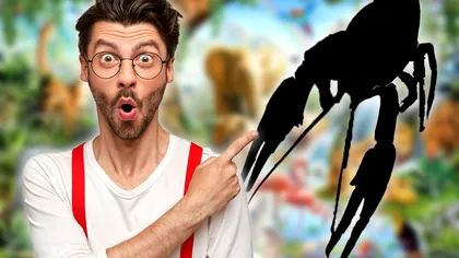 Animalul unic care trăieşte doar în România. Nu mai poate fi văzut nicăieri, puţini ştiu de el