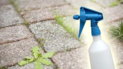 Ce să torni peste buruienile dintre pavele pentru a scăpa de ele. E natural, ieftin şi rapid