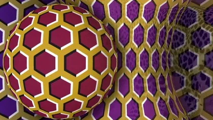 Cea mai tare iluzie optică a dimineții. Doar geniile pot găsi leopardul din imagine în doar 7 secunde