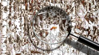 Doar cei cu privirea ageră reuşesc să găsească repede calul ascuns în imagine. Testul e viral