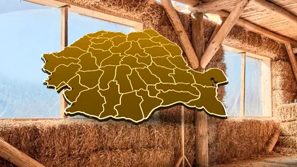 Doi români au construit o casă din paie și lut. Au renunțat complet la viața de la oraș