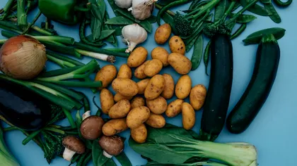 Leguma regilor, o afacere de succes în România. Mulţi străini o vor, la noi e puţin cunoscută