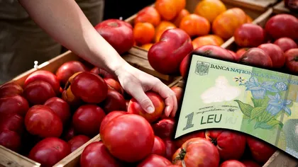 Locul în care roşiile se vând cu 70 de bani pe kilogram. Cum ajung în pieţe cu preţuri chiar şi de 10 ori mai mari