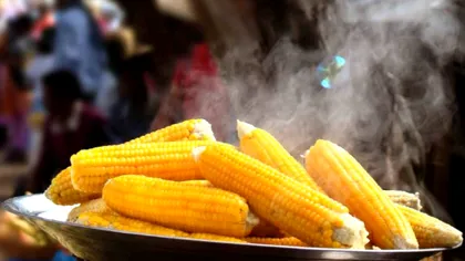 Uimirea unei turiste când a vrut să cumpere 3 porumbi fierți și o apă în Mamaia: 