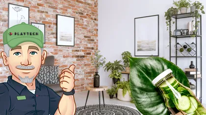 A pus mentă la colţurile casei şi a rezolvat o problemă mare. Se schimbă tot în doar câteva minute