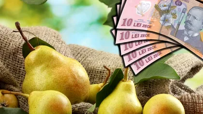 Cât au ajuns să coste perele româneşti. Sunt un lux, puţini îşi mai permit să le cumpere