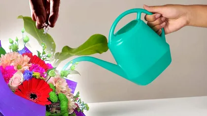 Ce să pui în apa florilor să reziste mai mult. Secretul să te bucuri mai mult de prospețimea buchetelor