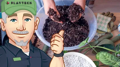 Ce să pui în pământul plantelor de apartament pentru frunze sănătoase şi flori din belşug. E un ingredient natural