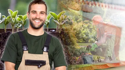 Ce trebuie să faci în grădină la început de octombrie. Aşa vei avea flori de invidiat la primăvară