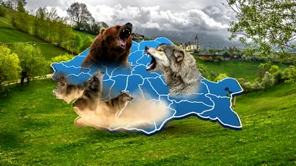 Creatura din România care se luptă cu urșii și lupii. Trăiește în curtea oamenilor, dar mulți nu știu ce forță are