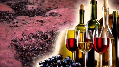 Cu ce se oprește vinul din fermentație. Trucul gospodarilor de la țară pentru o aromă intensă