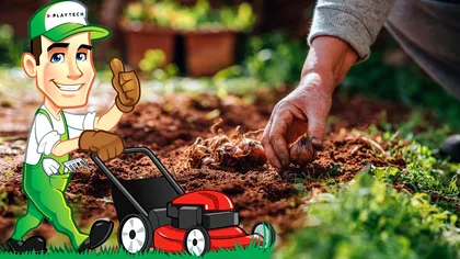 Cum dezinfectezi solul din grădină în luna septembrie. Aşa îţi asiguri o recoltă de zile mari anul viitor