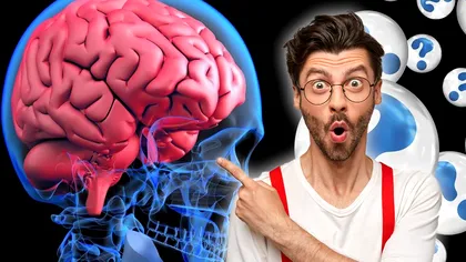 Cum îți dai seama dacă ai creierul îmbătrânit. Semnele care arată clar vârsta înaintată
