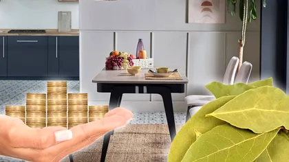 De ce să ţii nouă frunze de dafin şi nouă monede pe masa din bucătărie. Detaliul care îţi va schimba viaţa complet