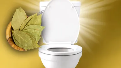 A pus foi de dafin în toaletă și a descoperit un truc uimitor. Toate româncele vor face așa