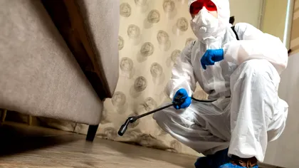Cât costă o dezinsecție pentru ploșnițe. Ce tarife percep firmele din București pentru o garsonieră sau un apartament