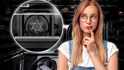 Ce rol are ventilatorul cuptorului electric. Când trebuie folosit, de fapt