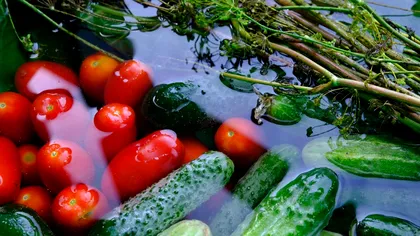 Cu ce se poate înlocui hreanul la murături. Cei mai buni conservanți naturali