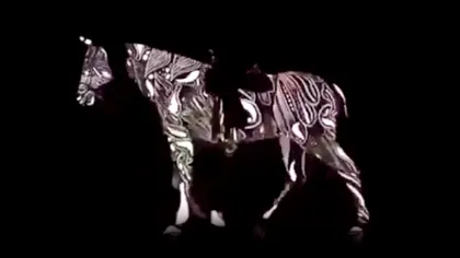 Iluzia care a luat cu asalt internetul: calul merge înainte sau înapoi? Detaliul care arată ce gândire ai