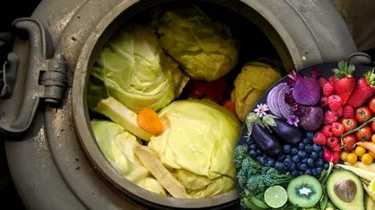 Pune acest fruct în butoiul cu varză. Bătrânii din România folosesc acest truc de sute de ani