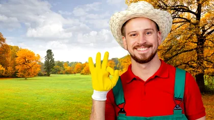 Secretul grădinarilor pentru gazonul din curtea ta. Ce trebuie să faci toamna