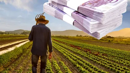 Țeapă de 5.000 de euro pentru doi fermieri români. Cum au fost păcăliți