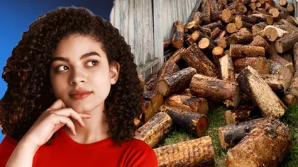 Testul de vedere al momentului. Ai nevoie de ochi ageri ca să vezi câinele ascuns printre buşteni