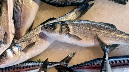 Un român a crezut că a cumpărat un pește împușcat: 'E ok pentru consum?'. Val de reacții pe internet