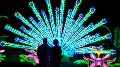 Program Grădina Botanică București. Cât costă biletele pentru copii și adulți