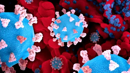 A apărut o nouă tulpină Covid-19 și este extrem de periculoasă. Este ‘nepotul Omicron’