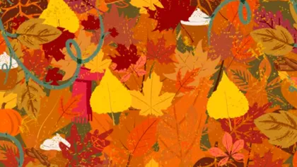 Iluzia optică a sfârşitului de toamnă. Ești un geniu dacă găsești fularul ascuns printre frunze