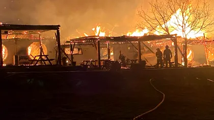 Băiatul patronului de la pensiunea 'Ferma Dacilor' ar fi murit în incendiul devastator. Locația funcționa fără autorizație de incendiu
