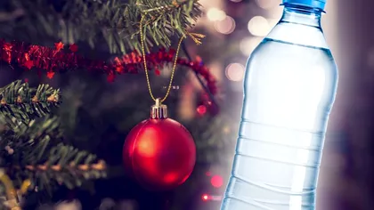 Ce să pui în apa în care ții bradul de Crăciun ca să nu se usuce. Va rezista proaspăt săptămâni la rând