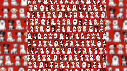 Test de atenţie pentru cei cu perspicacitate aparte. Unde este căţelul cu o căciulă de Moş Crăciun