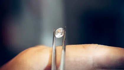 Un bărbat a luat o bucată de sticlă dintr-un parc și a văzut abia acasă ce era. Ce a descoperit americanul