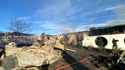 Profitul pe care l-a avut pensiunea ‘Ferma Dacilor’ anul trecut. Câți bani a câștigat patronul Cornel Dinicu