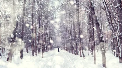 Ce este furtuna Isha care se apropie de România. Urmează cod roşu de ninsori şi vânt în mai toată Europa