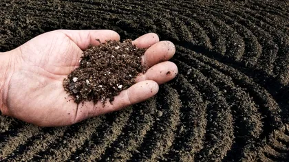 Ce trebuie să pui peste pământul din grădină la început de februarie pentru o recoltă bogată. Aşa procedau şi bunicii