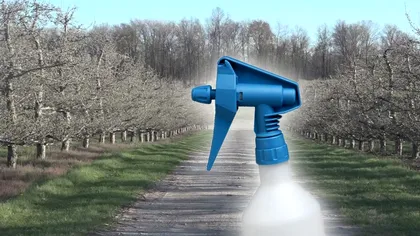 Cu ce să stropești pomii când sunt temperaturi negative. Trucul de aur care îi ferește de îngheț