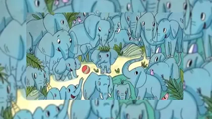 Cu toţii putem vedea elefanţii drăgălaşi, dar prea puţini rinocerul. Testul de IQ al începutului de săptămână