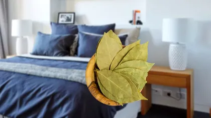 De ce să pui trei frunze de dafin pe noptiera din dormitor. Ideea care te va scăpa de o mare problemă