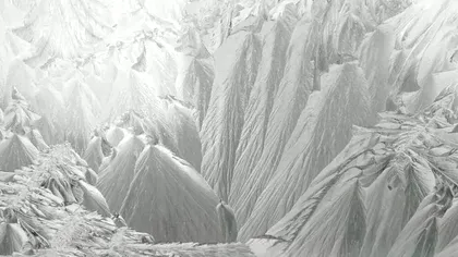 Iluzie optică de iarnă. Ce vezi prima dată în imagine spune multe despre felul în care gândeşti