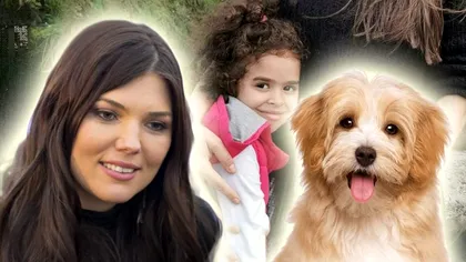 Cum se înțelege fiica Paulei Seling cu câinii salvați de cântăreață: „Au fost din prima atașați de Elena” EXCLUSIV VIDEO