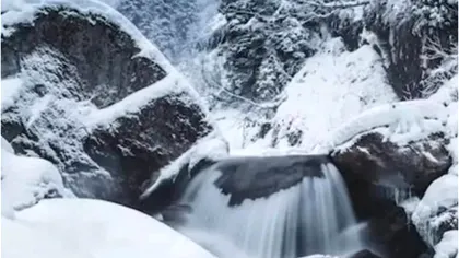 Testul de vedere care face furori. Toţi pot vedea cascada, dar prea puţini şi ursul polar! Tu cât de repede l-ai observat?