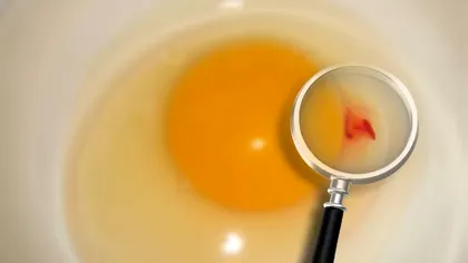 Se mănâncă sau nu ouăle care au pete roşii pe gălbenuş? Specialiştii elucidează misterul