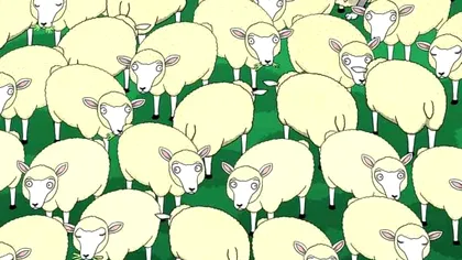 Ai privire ageră dacă vezi repede lupul ascuns printre oi! Este iluzia optică supremă